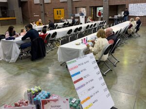 Playing Bingo